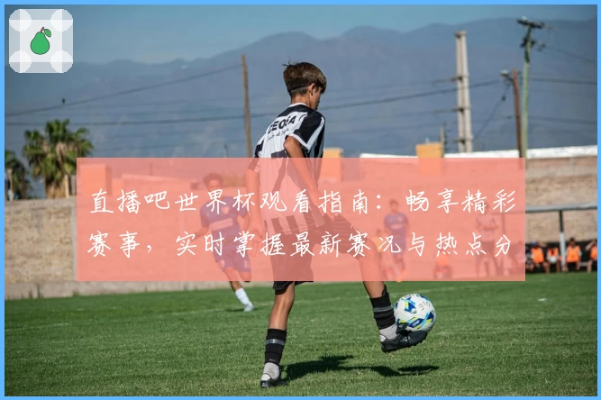 直播吧世界杯观看指南：畅享精彩赛事，实时掌握最新赛况与热点分析